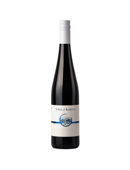 Víno z Kobylí Cabernet Moravia 